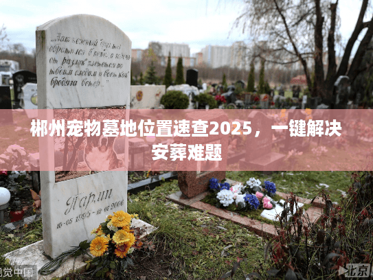 郴州宠物墓地位置速查2025，一键解决安葬难题