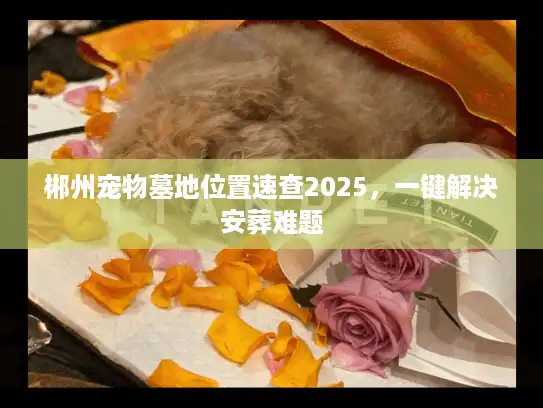 郴州宠物墓地位置速查2025，一键解决安葬难题