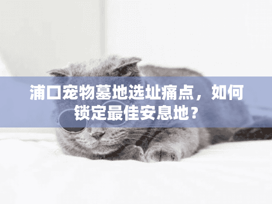 浦口宠物墓地选址痛点,如何锁定最佳安息地? 浦口宠物墓地选址痛点,如何锁定最佳安息地?