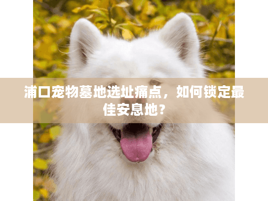 浦口宠物墓地选址痛点,如何锁定最佳安息地? 浦口宠物墓地选址痛点,如何锁定最佳安息地?