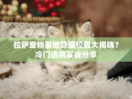 拉萨宠物墓地隐藏位置大揭晓？冷门选购实战分享