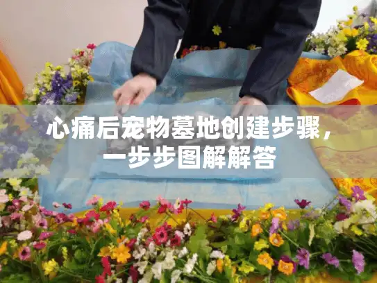 心痛后宠物墓地创建步骤，一步步图解解答