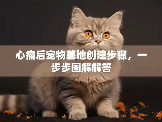 心痛后宠物墓地创建步骤，一步步图解解答