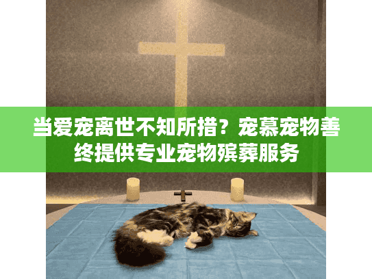 当爱宠离世不知所措?宠慕宠物善终提供专业宠物殡葬服务 当爱宠离世不知所措?宠慕宠物善终提供专业宠物殡葬服务