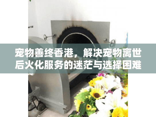 宠物善终香港，解决宠物离世后火化服务的迷茫与选择困难