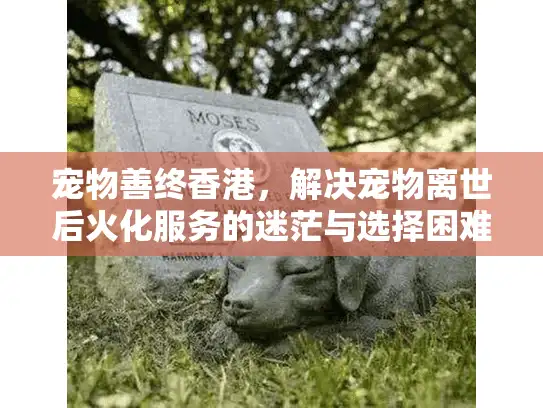 宠物善终香港，解决宠物离世后火化服务的迷茫与选择困难