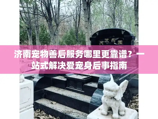 济南宠物善后服务哪里更靠谱？一站式解决爱宠身后事指南