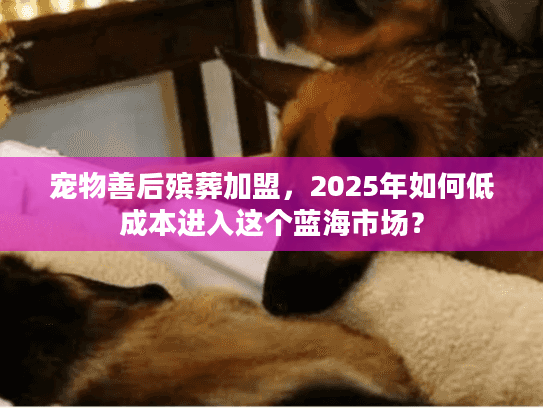 宠物善后殡葬加盟，2025年如何低成本进入这个蓝海市场？