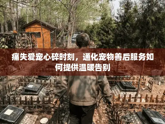 痛失爱宠心碎时刻,通化宠物善后服务如何提供温暖告别 痛失爱宠心碎时刻,通化宠物善后服务如何提供温暖告别