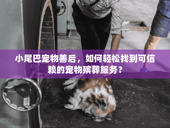 小尾巴宠物善后，如何轻松找到可信赖的宠物殡葬服务？