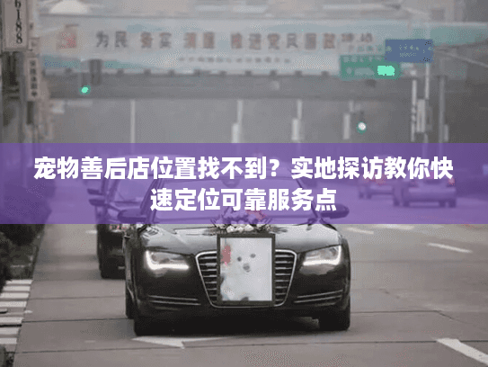 宠物善后店位置找不到？实地探访教你快速定位可靠服务点