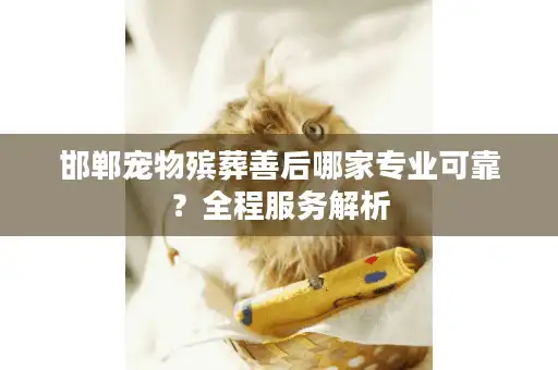 邯郸宠物殡葬善后哪家专业可靠?全程服务解析 邯郸宠物殡葬善后哪家专业可靠?全程服务解析