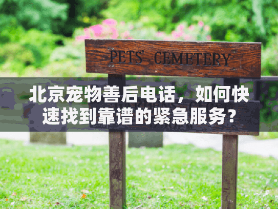 北京宠物善后电话，如何快速找到靠谱的紧急服务？