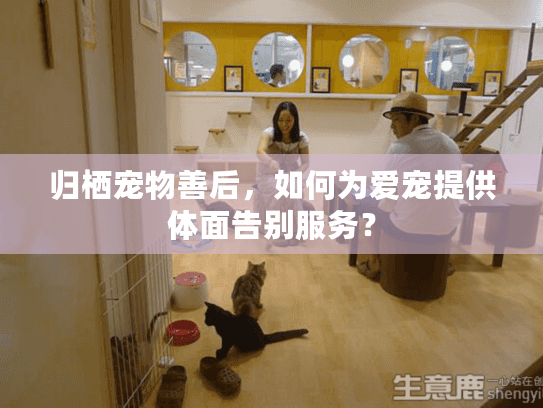 归栖宠物善后，如何为爱宠提供体面告别服务？