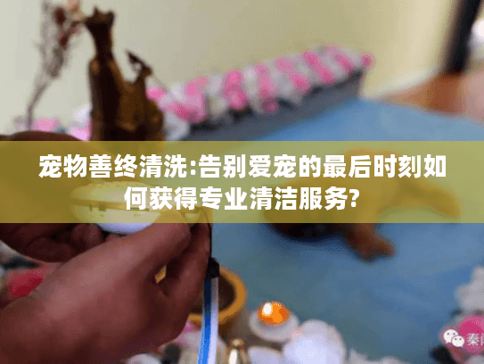 宠物善终清洗:告别爱宠的最后时刻如何获得专业清洁服务?
