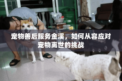 宠物善后服务金溪，如何从容应对宠物离世的挑战