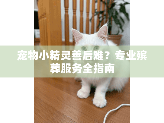 宠物小精灵善后难？专业殡葬服务全指南