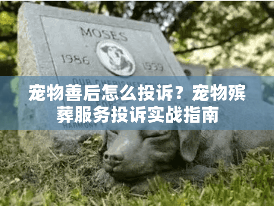 宠物善后怎么投诉？宠物殡葬服务投诉实战指南