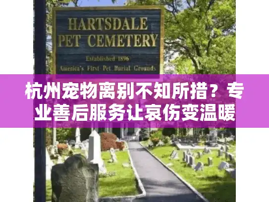 杭州宠物离别不知所措？专业善后服务让哀伤变温暖
