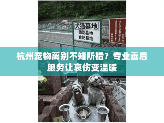 杭州宠物离别不知所措？专业善后服务让哀伤变温暖