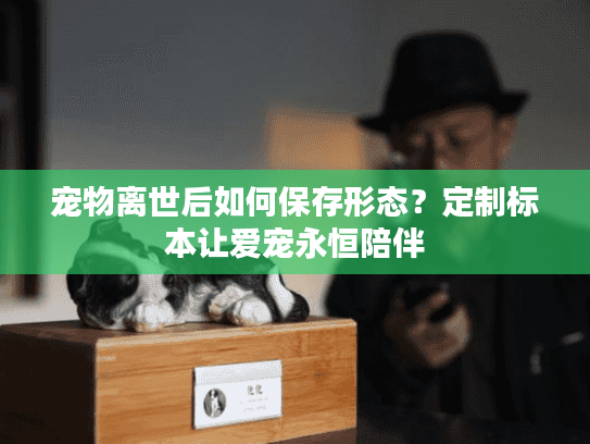宠物离世后如何保存形态？定制标本让爱宠永恒陪伴