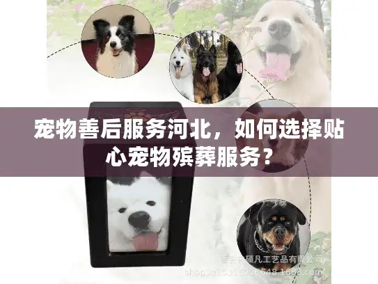 宠物善后服务河北,如何选择贴心宠物殡葬服务? 宠物善后服务河北,如何选择贴心宠物殡葬服务?