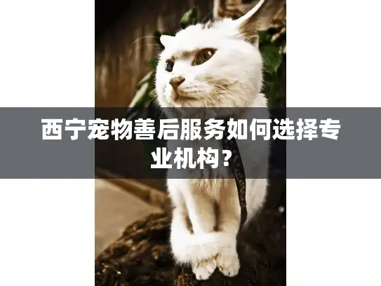 西宁宠物善后服务如何选择专业机构? 西宁宠物善后服务如何选择专业机构?