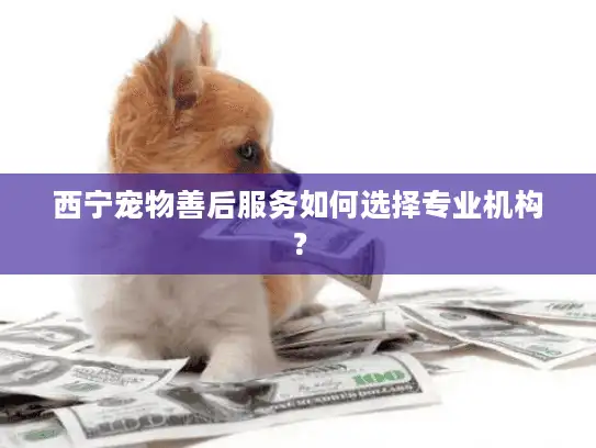 西宁宠物善后服务如何选择专业机构? 西宁宠物善后服务如何选择专业机构?