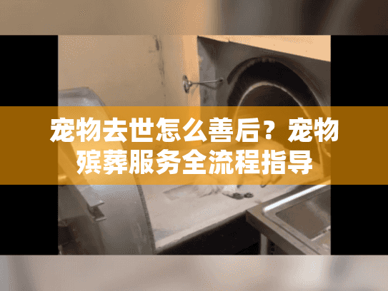 宠物去世怎么善后？宠物殡葬服务全流程指导