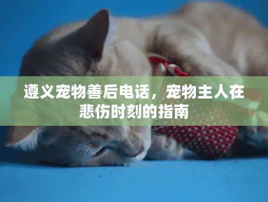遵义宠物善后电话,宠物主人在悲伤时刻的指南 遵义宠物善后电话,宠物主人在悲伤时刻的指南