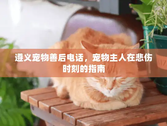 遵义宠物善后电话,宠物主人在悲伤时刻的指南 遵义宠物善后电话,宠物主人在悲伤时刻的指南