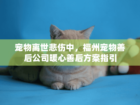宠物离世悲伤中，福州宠物善后公司暖心善后方案指引