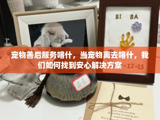 宠物善后服务喀什，当宠物离去喀什，我们如何找到安心解决方案