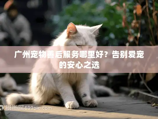广州宠物善后服务哪里好?告别爱宠的安心之选 广州宠物善后服务哪里好?告别爱宠的安心之选