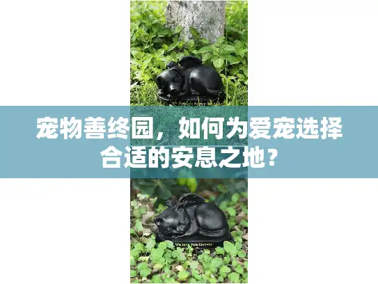 宠物善终园，如何为爱宠选择合适的安息之地？