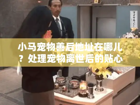 小马宠物善后地址在哪儿？处理宠物离世后的贴心选择