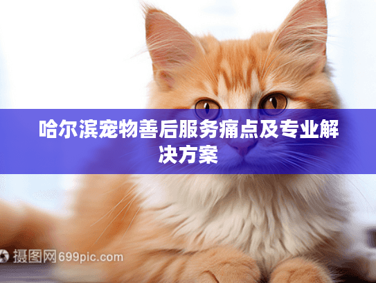 哈尔滨宠物善后服务痛点及专业解决方案