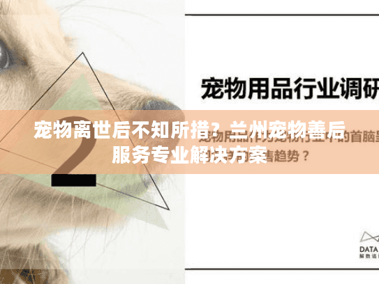 宠物离世后不知所措？兰州宠物善后服务专业解决方案