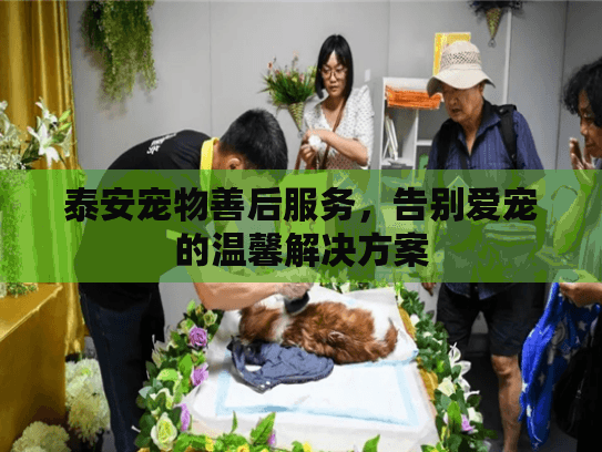 泰安宠物善后服务，告别爱宠的温馨解决方案