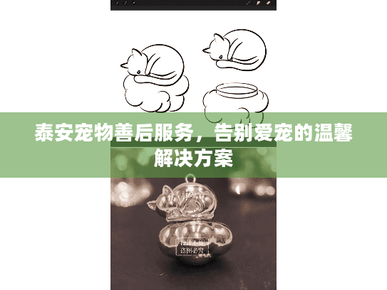 泰安宠物善后服务，告别爱宠的温馨解决方案
