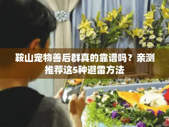 鞍山宠物善后群真的靠谱吗？亲测推荐这5种避雷方法