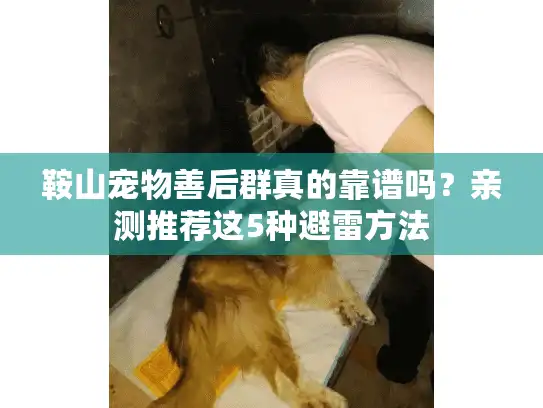 鞍山宠物善后群真的靠谱吗？亲测推荐这5种避雷方法