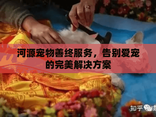 河源宠物善终服务，告别爱宠的完美解决方案