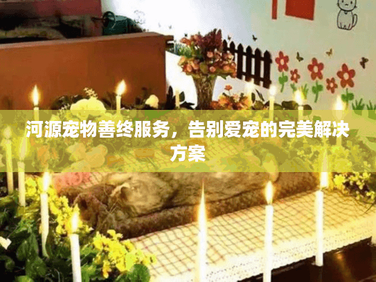 河源宠物善终服务，告别爱宠的完美解决方案