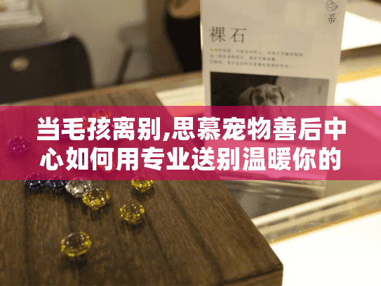 当毛孩离别,思慕宠物善后中心如何用专业送别温暖你的心?