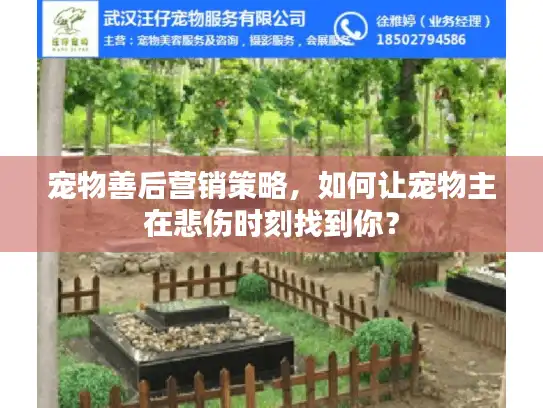 宠物善后营销策略,如何让宠物主在悲伤时刻找到你? 宠物善后营销策略,如何让宠物主在悲伤时刻找到你?