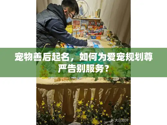 宠物善后起名，如何为爱宠规划尊严告别服务？
