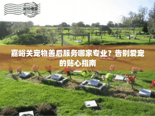 嘉峪关宠物善后服务哪家专业?告别爱宠的贴心指南 嘉峪关宠物善后服务哪家专业?告别爱宠的贴心指南