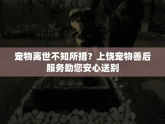 宠物离世不知所措?上饶宠物善后服务助您安心送别 宠物离世不知所措?上饶宠物善后服务助您安心送别
