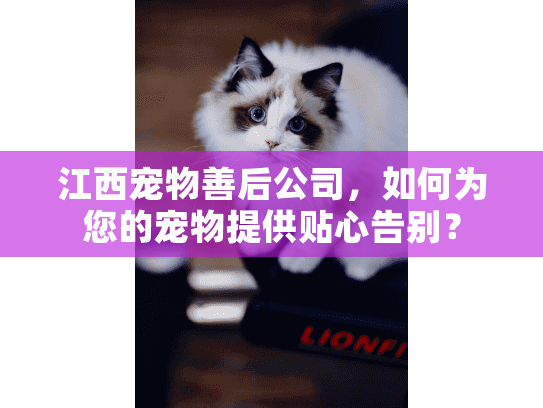 江西宠物善后公司,如何为您的宠物提供贴心告别? 江西宠物善后公司,如何为您的宠物提供贴心告别?